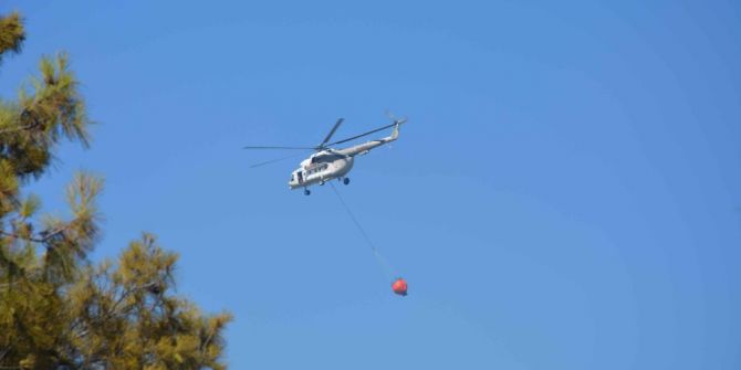 Köyceğiz’de orman yangını