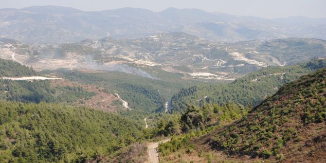 Suriye sınırında orman yangını