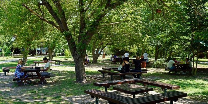 Korunan alanlarda 150 bin adet meyve fidanı toprakla buluştu