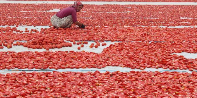 Torbalı’dan dünyaya 60 bin ton kuru domates