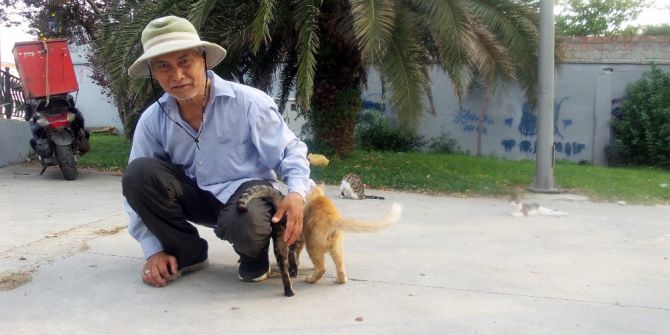 Her gün Fatih’ten Kasımpaşa’ya yürüyerek sokak kedilerini besliyor
