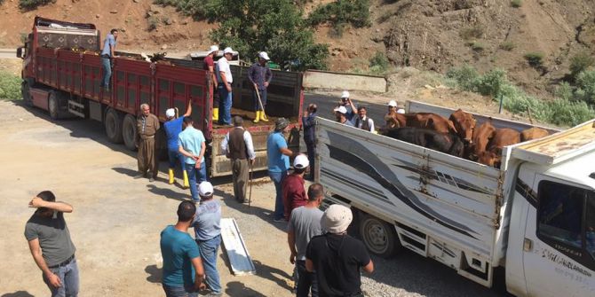 Beytüşşebap’ta 25 genç çiftçinin projesi kabul edildi