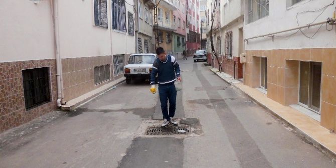 Yıldırım, dünya standartlarında ilaçlanıyor
