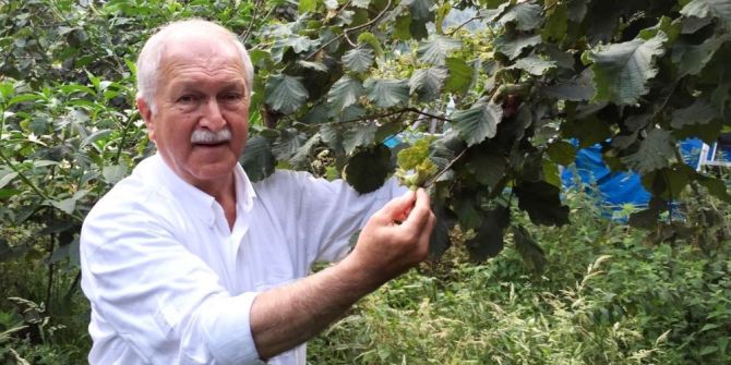 CHP Giresun Milletvekili Bülent Bektaşoğlu: