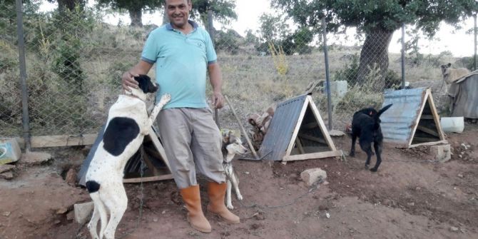 Türkiye’ye örnek uygulama: Gönüllü hayvan dostları projesi