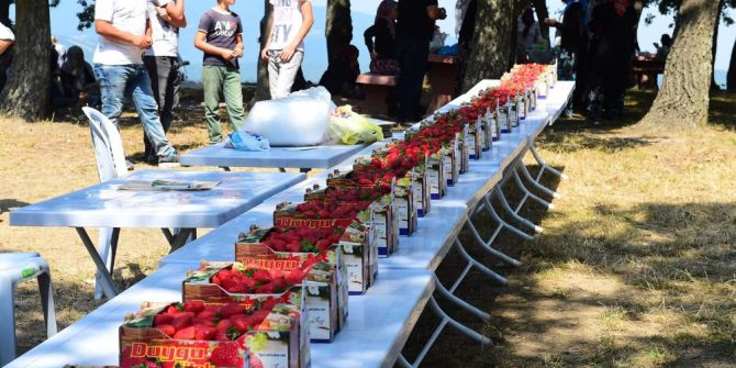Orhangazi’de çilek festivali coşkusu