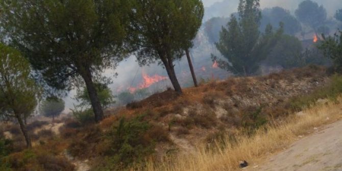 İzmir’de piknik alanı yakınında yangın