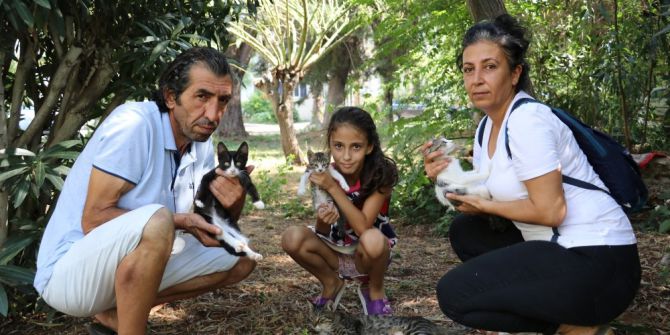 Antalya’da kedi katliamı