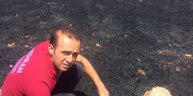 Anız yangınında birçok hayvan telef oldu