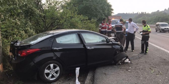 Yoldan çıkan otomobil erik ağacına çarptı