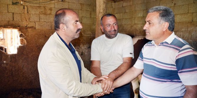 Tonluk kurbanlıklar satışa çıktı