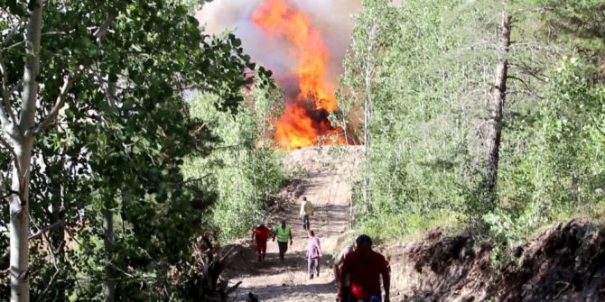 Oltu’da orman yangını