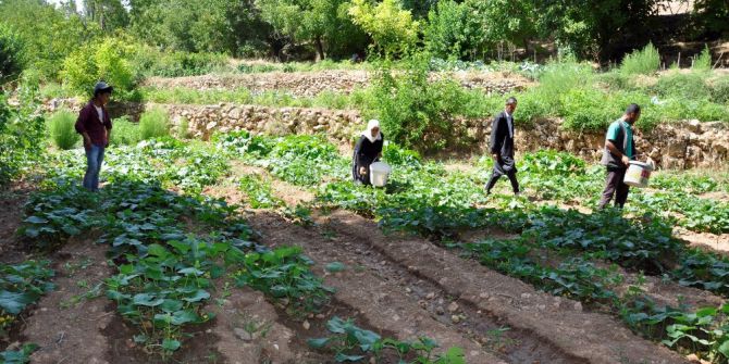 200 yıllık geleneği sürdüren köylüler hasta olmuyor