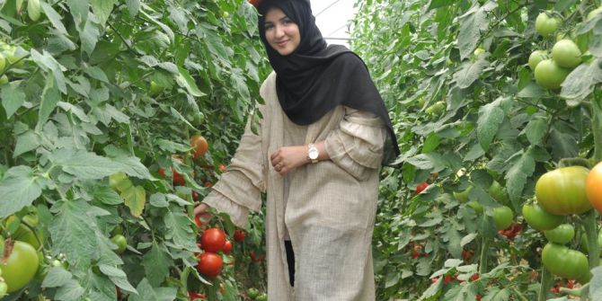 Arap gençler Bursa’da domates ve armut topladı