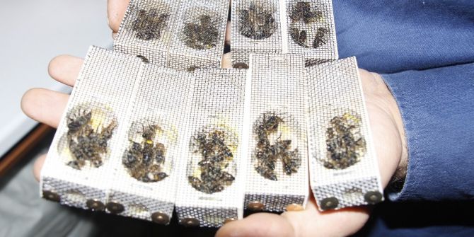 2 ay çalışarak yılda 100 bin lira kazanmak mümkün