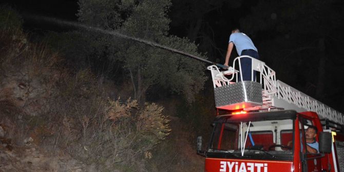 Ortaca’da orman yangını