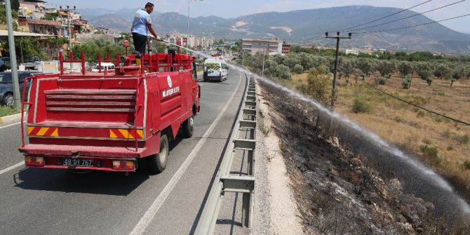 Milas’ta yangın elektrik tellerine zarar verdi