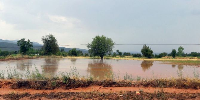 Aşırı yağış yolu kapattı, tütün tarlalarını vurdu