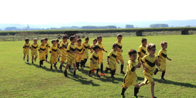 Mink yıldızlar yeşil sahaların tozunu Serdivan’da atıyor