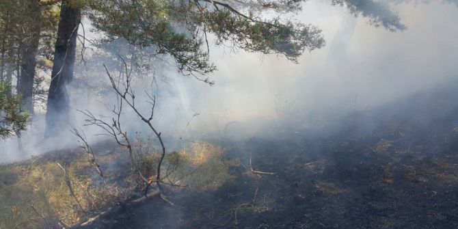 Alaçam’da orman yangını