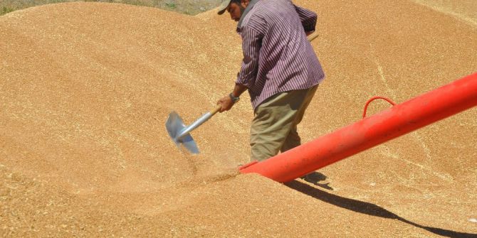 Çiftçiler buğday satışına başladı
