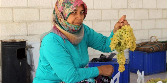 Sultani üzümde ihracat yarın başlıyor