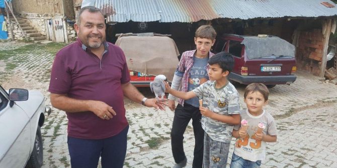 Köydeki papağan ilgi odağı oldu