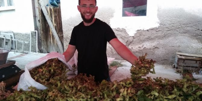 Yeni ürün fındık pazara indi