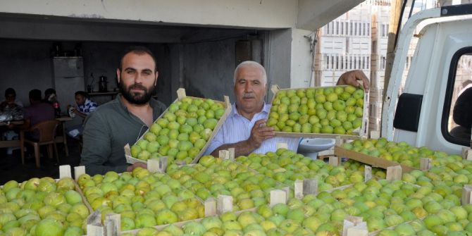İncirin başkenti Aydın’da taze incir ihracat başladı