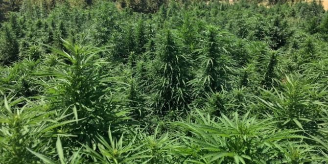 Diyarbakır’da uyuşturucu operasyonu