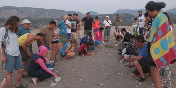 Yavru caretta caretta’lar denizle buluştu