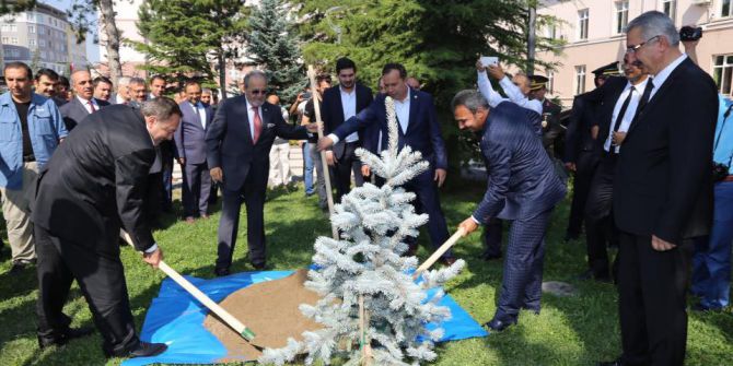 Türkiye’de lavantaya dayalı sanayi kurulumu için hazırlık