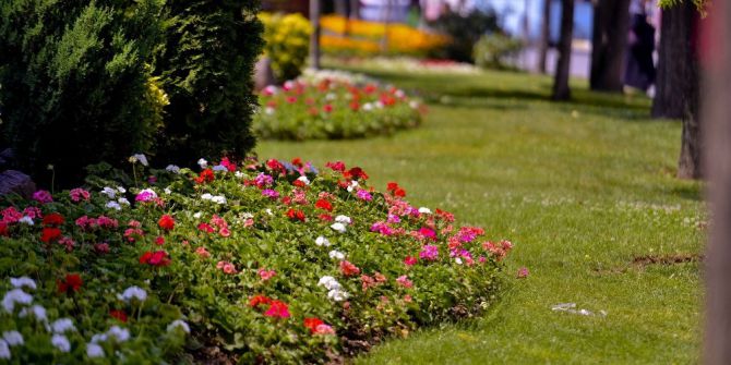 Maltepe’yi çiçeklerle bezediler