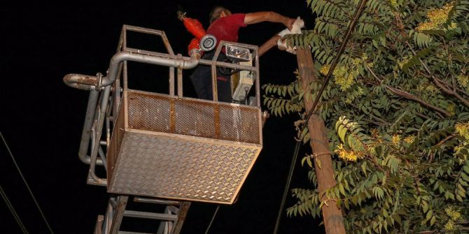 Direkte mahsur kalan kediyi itfaiye kurtardı