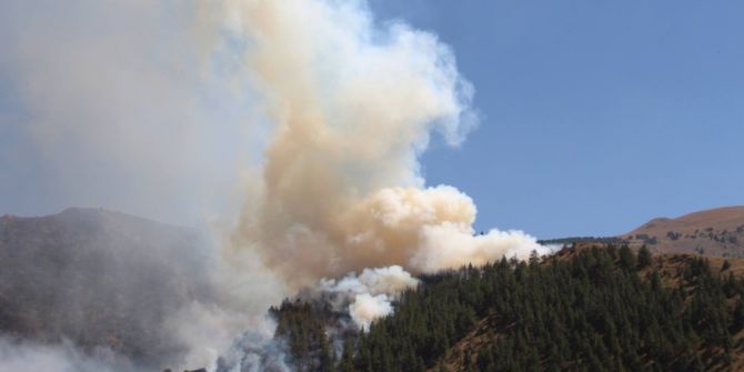 Oltu’da orman yangınında 20 hektar alan kül oldu