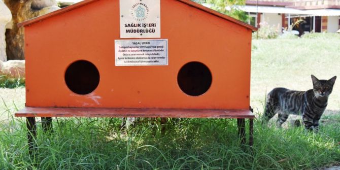 Yeni kedi evleri minik dostlarımızın hizmetinde