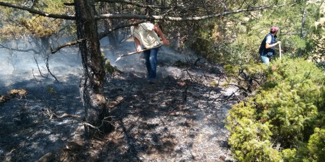 İnönü’de orman yangını