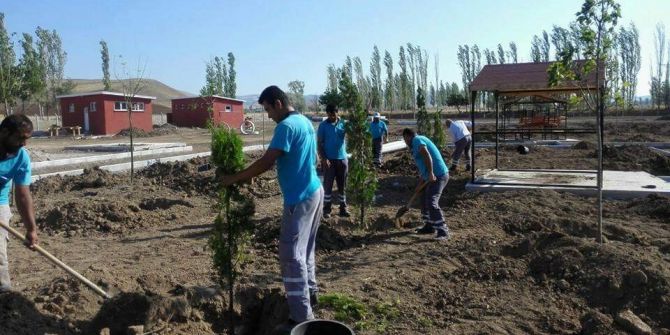 Sungurlu’da mesire alanları ağaçlandırılıyor
