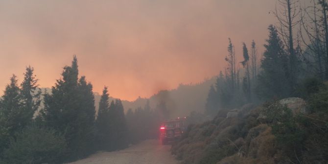 İzmir’deki makilik yangını kontrol altına alındı
