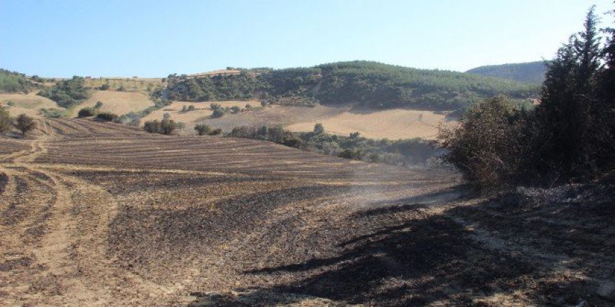 Çanakkale’deki Orman Yangını Söndürüldü