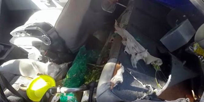 Park halindeki araca ayı saldırdı