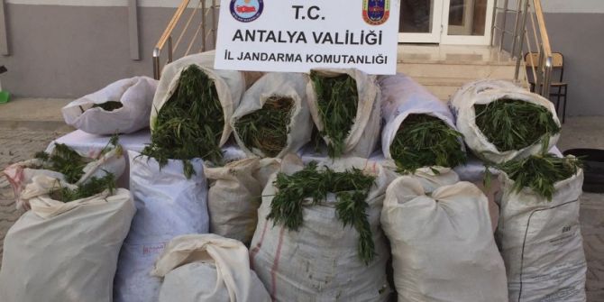 Antalya’da uyuşturucu operasyonu