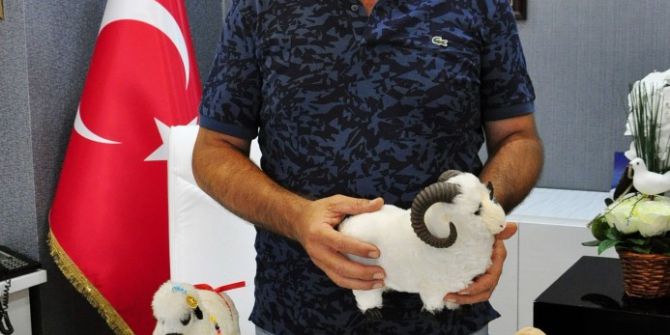 Şen: "Seçtiğiniz kurbanlığın gözünden yaş gelmesin, burnu akmasın"