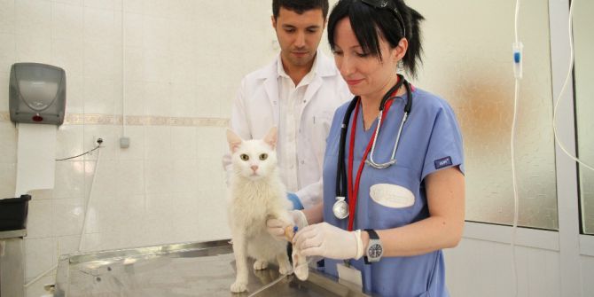 ADÜ Veteriner Fakültesi Hastanesi yılda 4 bin hastaya bakıyor