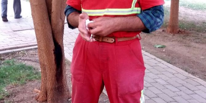 Temizlik yaptığı için dayak yedi