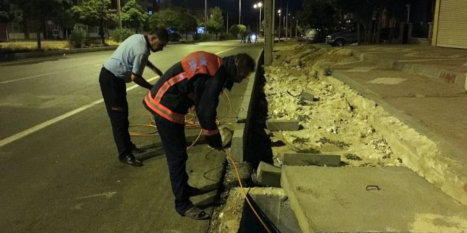 Sürücünün çarpıp kaçtığı kediyi itfaiye kurtardı