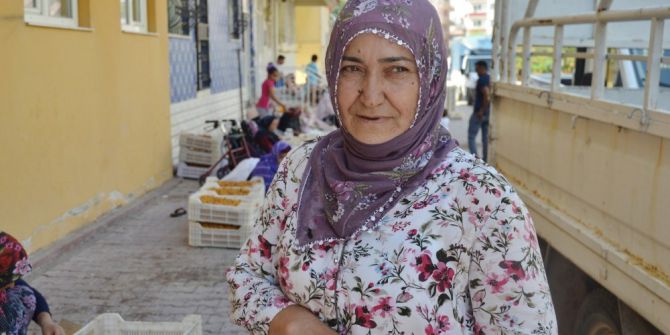 Kayısıda patik dönemi başladı