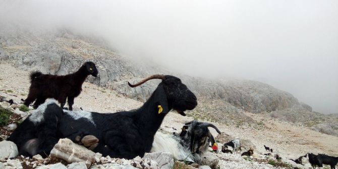 2 bin 500 metreden kurban pazarına