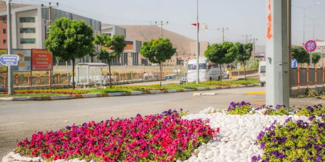 Bitlis Belediyesinden çiçek ekimi