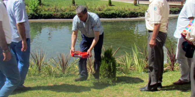 Sokak hayvanları için su kabı